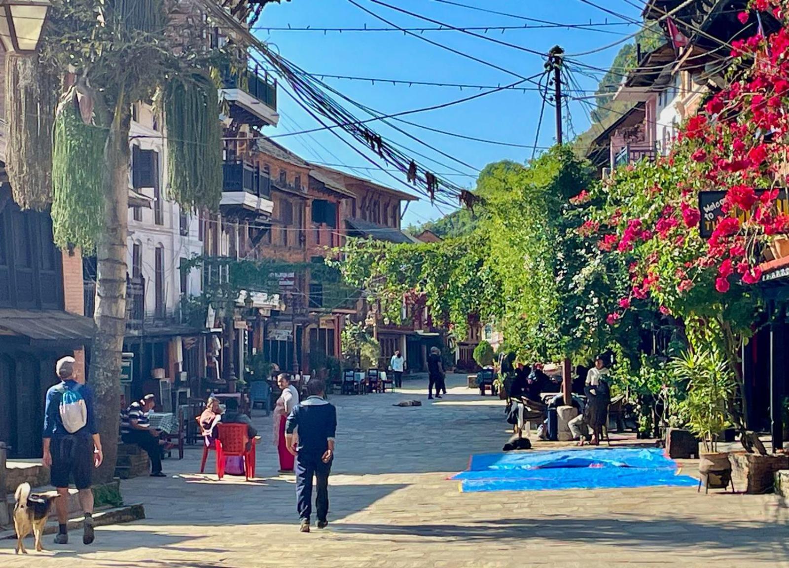 Himchuli Guest House حديقة بانديبور الوطنية المظهر الخارجي الصورة